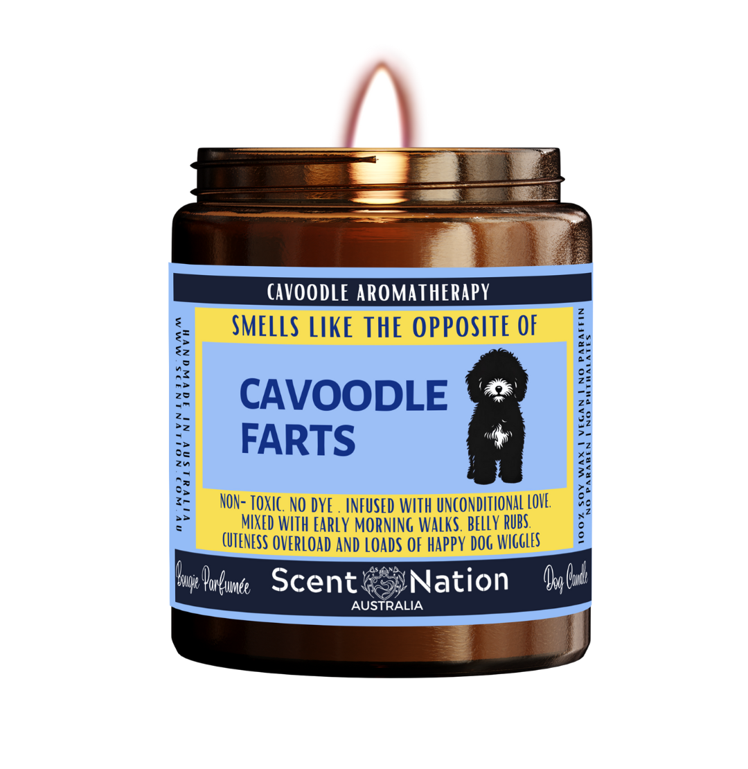 Cavoodle Dog Gifts Australia Best Cavoodle Gifts for Cavoodle Owners Scent Nation Australia