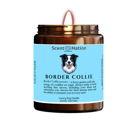 BORDER COLLIE   Dog Gifts - Dog Candle for Dog lovers in Australia