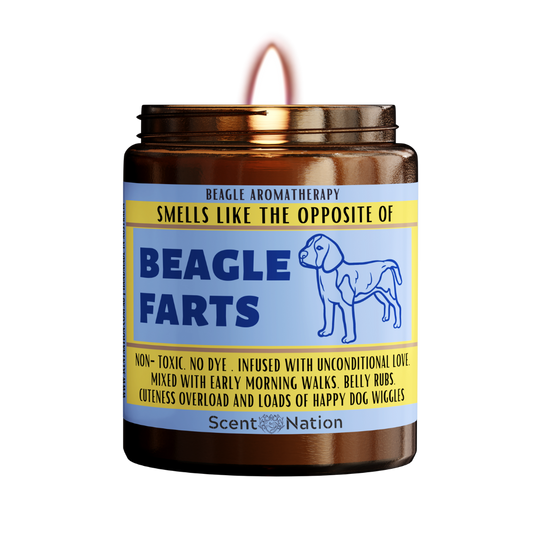 A Beagle puppy sitting on a candle labeled "Smells like the opposite of Beagle  fart". The candle is made in Australia and is a great gift for Beagle  lovers, new Beagle  owners, or anyone who appreciates a dog candle that doubles as a fart extinguisher. This funny and unique dog gift is perfect for gag gifts, dog lovers, Beagle  owners, dog trainers, and dog groomers. It is also a great birthday gift for your furry friend.