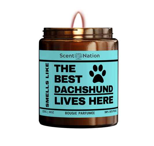 Smells like The Best DOG (CUSTOM your Dog Breed) Lives here