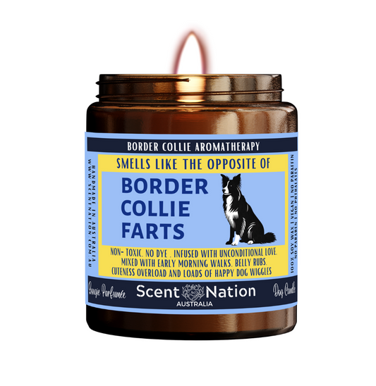 BORDER COLLIE  Dog Gifts - Dog Candle for Dog lovers in Australia