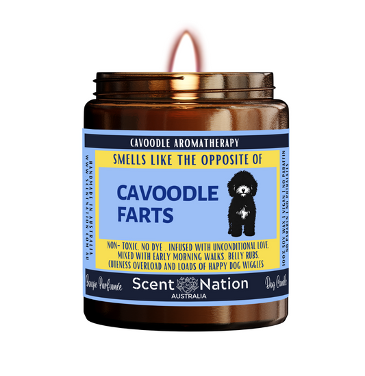 CAVOODLE Dog Gifts - Dog Candle for Dog lovers in Australia