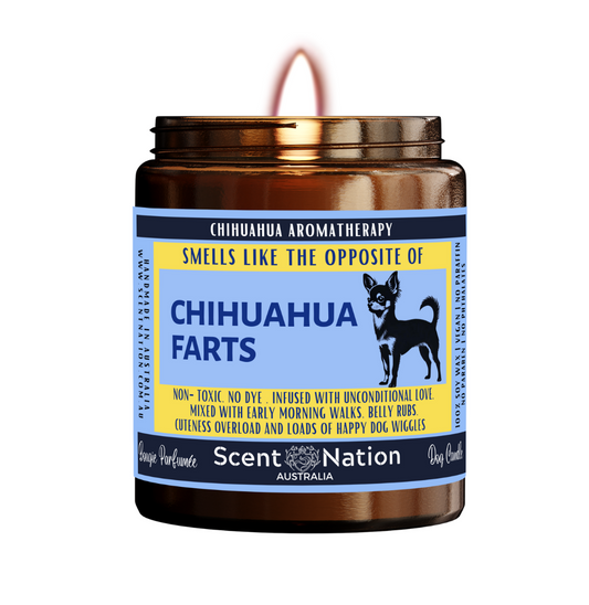 CHIHUAHUA  Dog Gifts - Dog Candle for Dog lovers in Australia