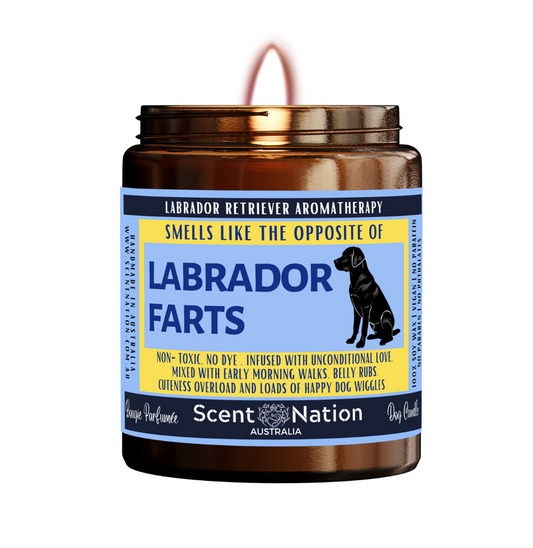 LABRADOR   Dog Gifts - Dog Candle for Dog lovers in Australia