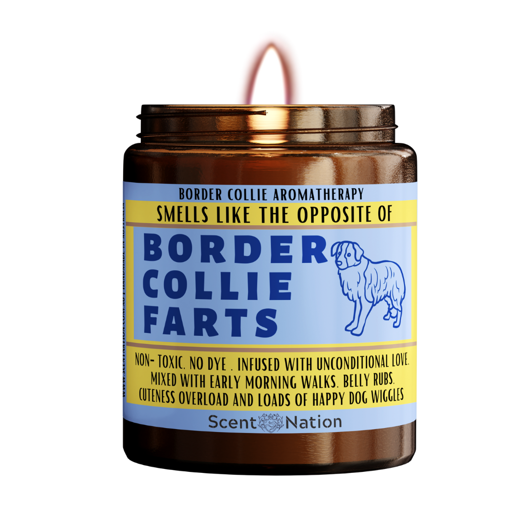 Funny Border Collie candle - perfect gift for Border Collie lovers in Australia