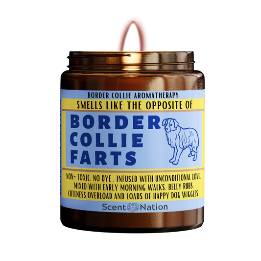 Funny Border Collie candle - perfect gift for Border Collie lovers in Australia