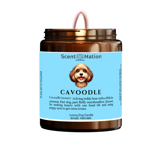 Cavoodle Dog Gifts - Dog Candle for Dog lovers in Australia