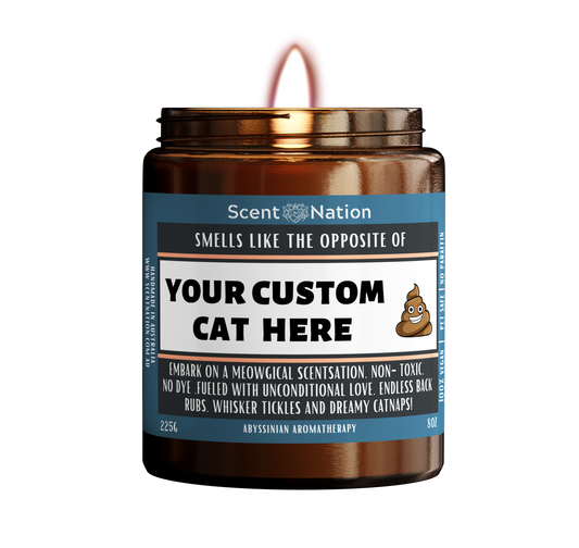 Cat Candle Pet Aromatherapy - Smells like the opposite of a Cat Litter