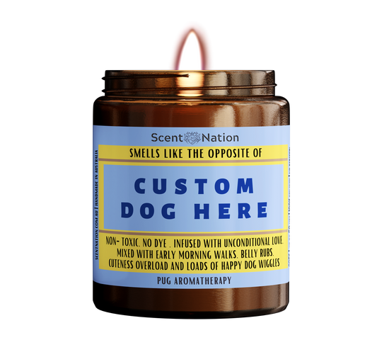 Custom Dog Gift, Dog candle, Dog Gift, Dog fart candle Personalise Pet suympathy