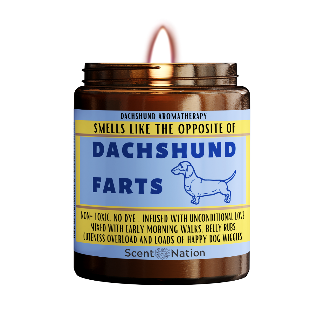 Funny dachshund puppy sitting on a dog fart candle - perfect gift for dachshund lovers in Australia