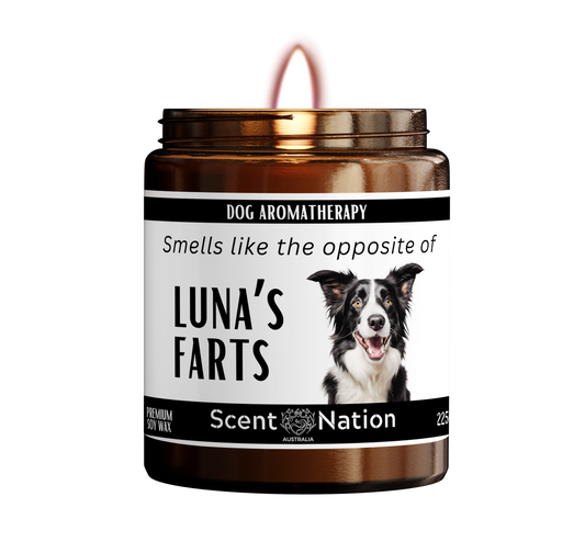 Dog Candle -Custom Dog  Fart Candle - Smells like the opposite of "dog name" farts