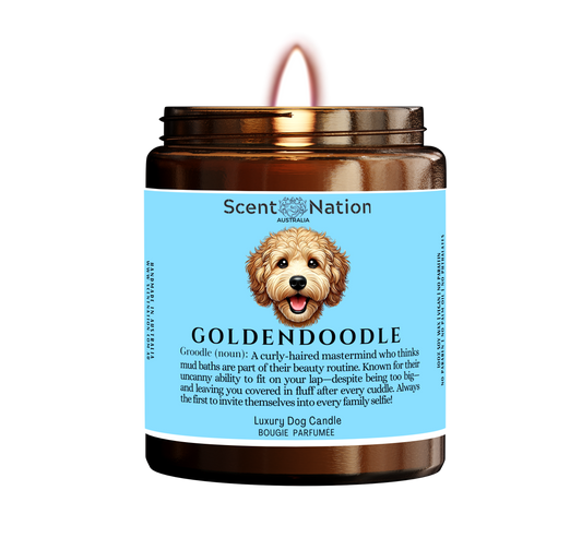 Scented candle inspired by the playful and friendly Golden Doodle, perfect for adding warmth to any space