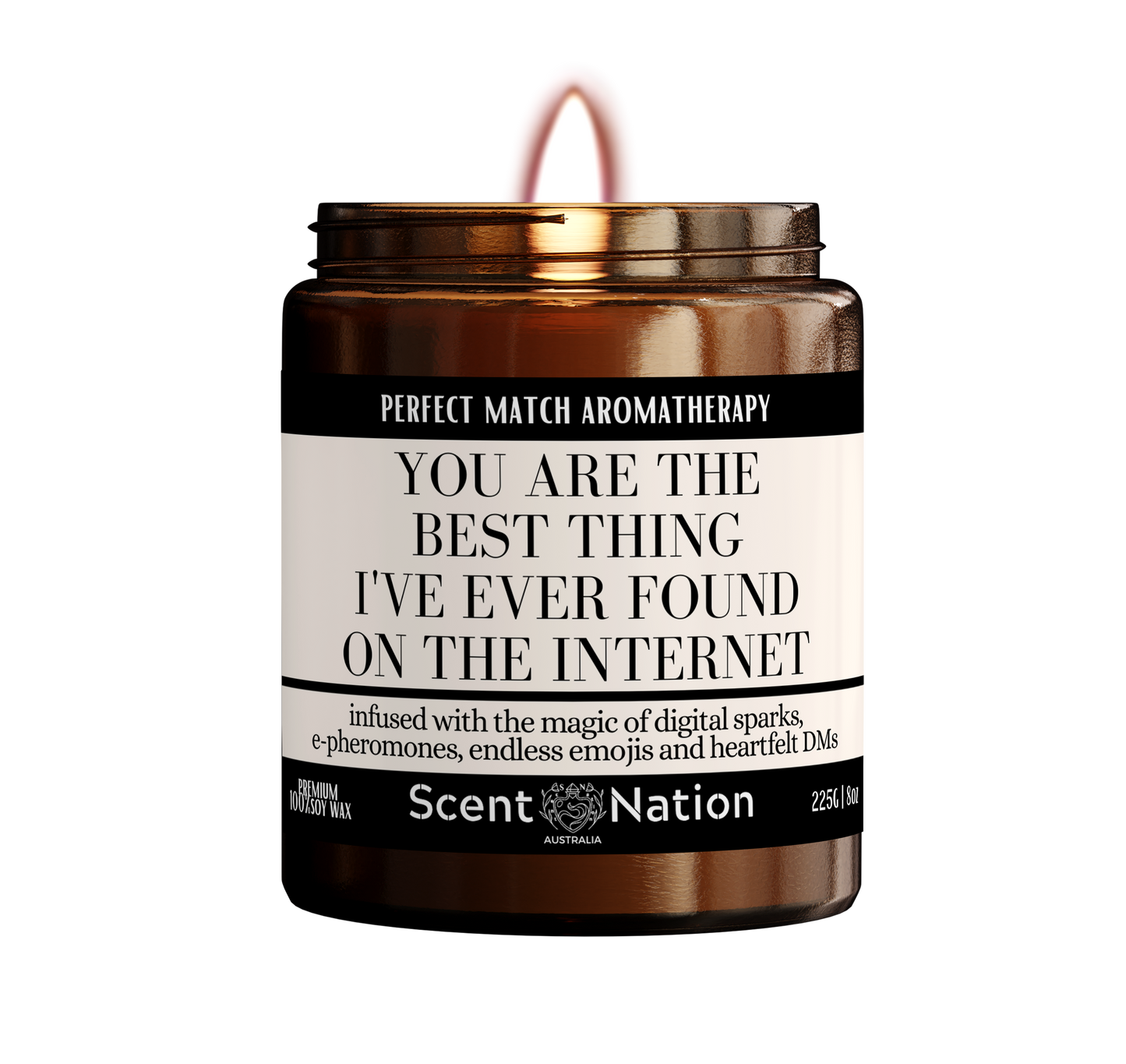 You are the Best thing I ever found on the Internet Scented Soy Candle