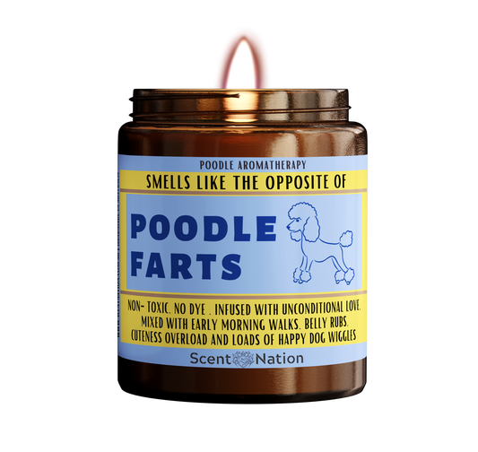Poodle Gifts : The Best funny Gifts for Poodle  Lovers in Australia - Smells like the Opposite of a Poodle  Fart Candle